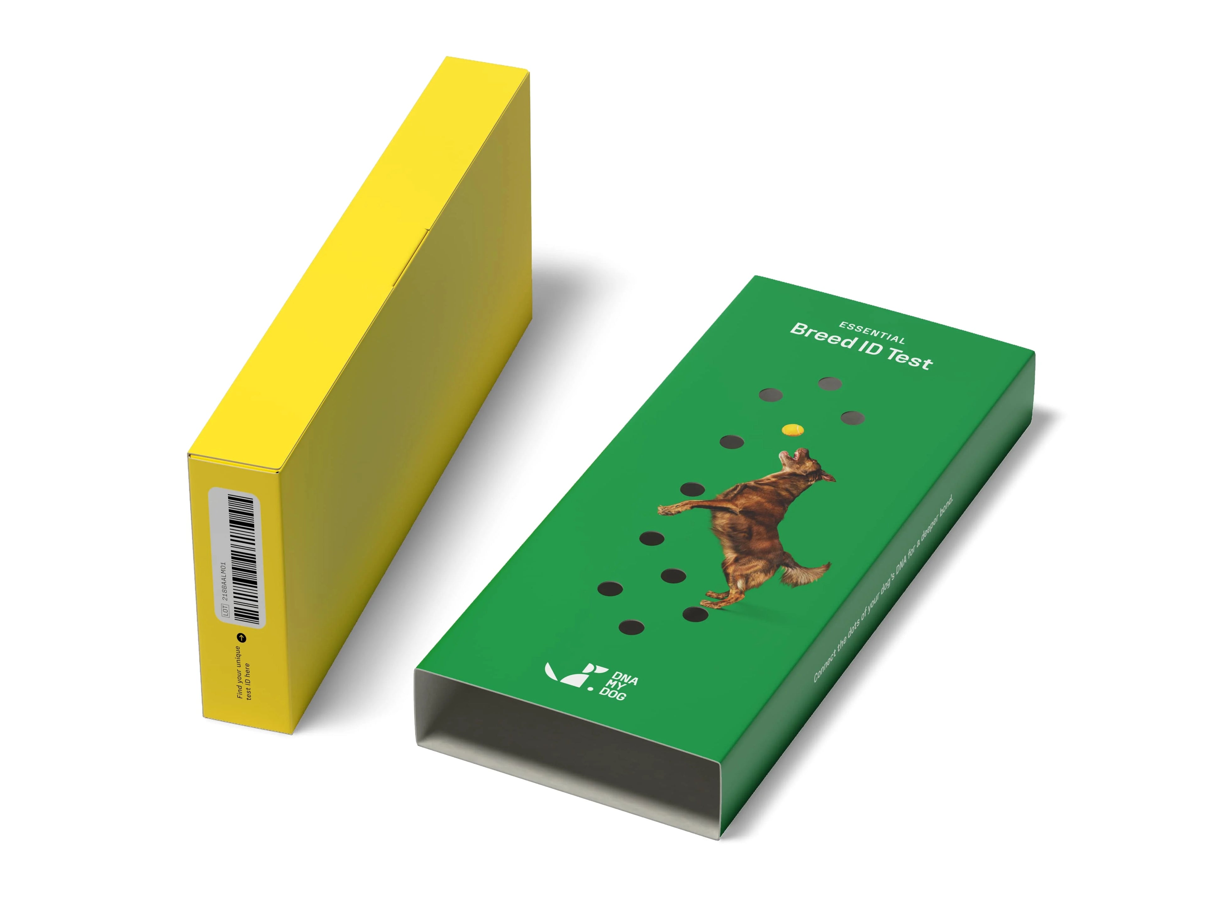 DNA My Dog Essential Breed ID Testing Kit