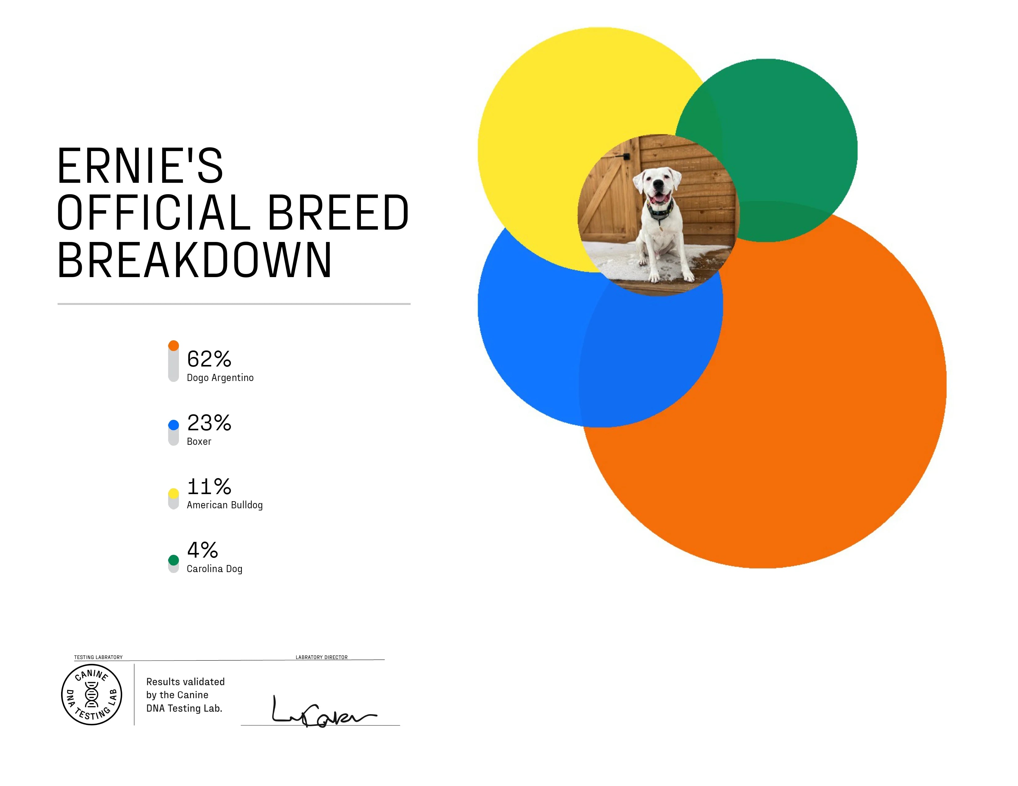 DNA My Dog Essential Breed ID Testing Kit