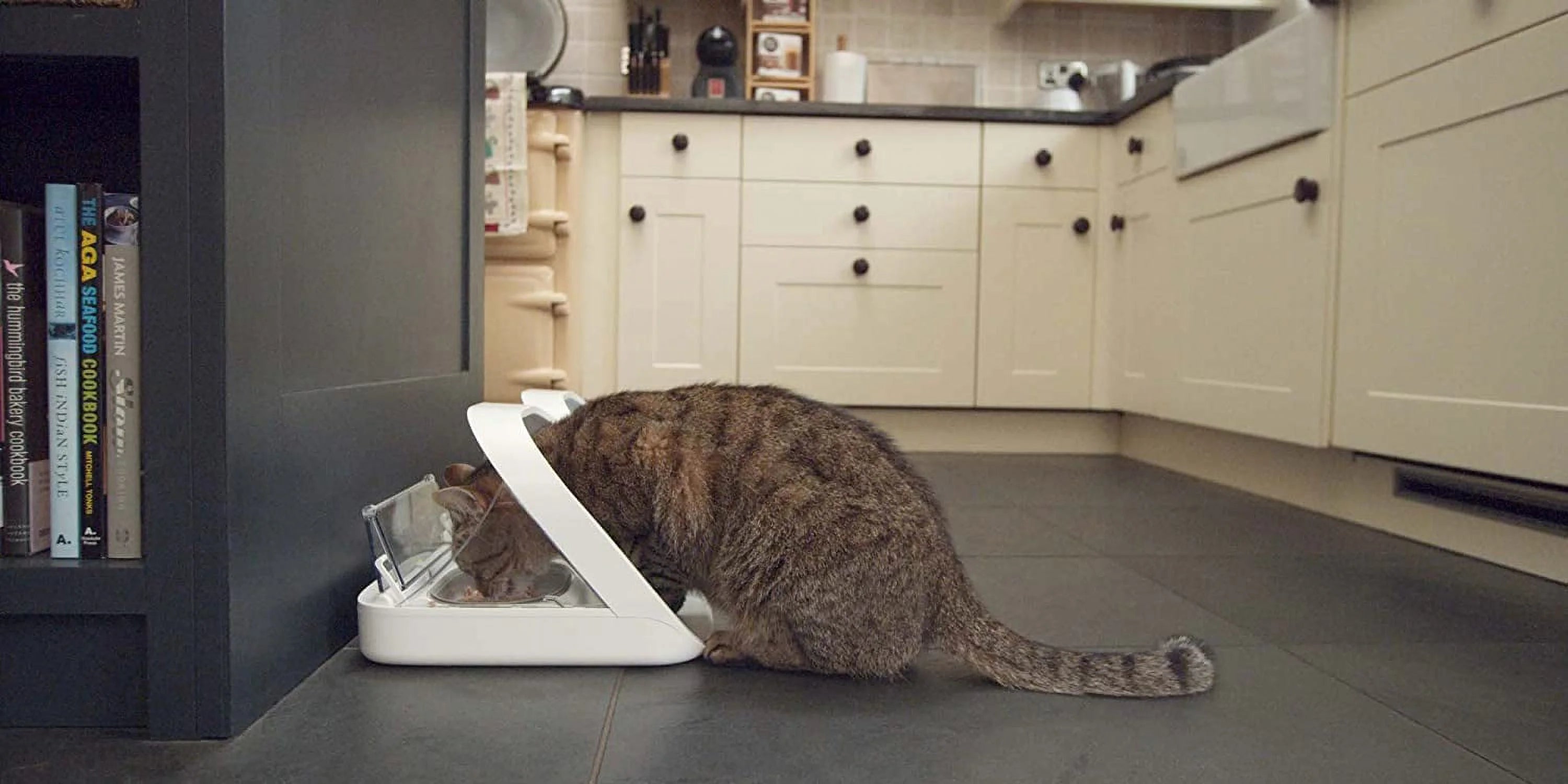SureFlap MPF001 Surefeed Microchip Pet Feeder - Uses Microchip or Collar Tag
