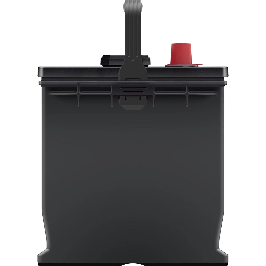 EverStart Plus Lead Acid Automotive Battery, Group Size 65 12 Volt, 750 CCA